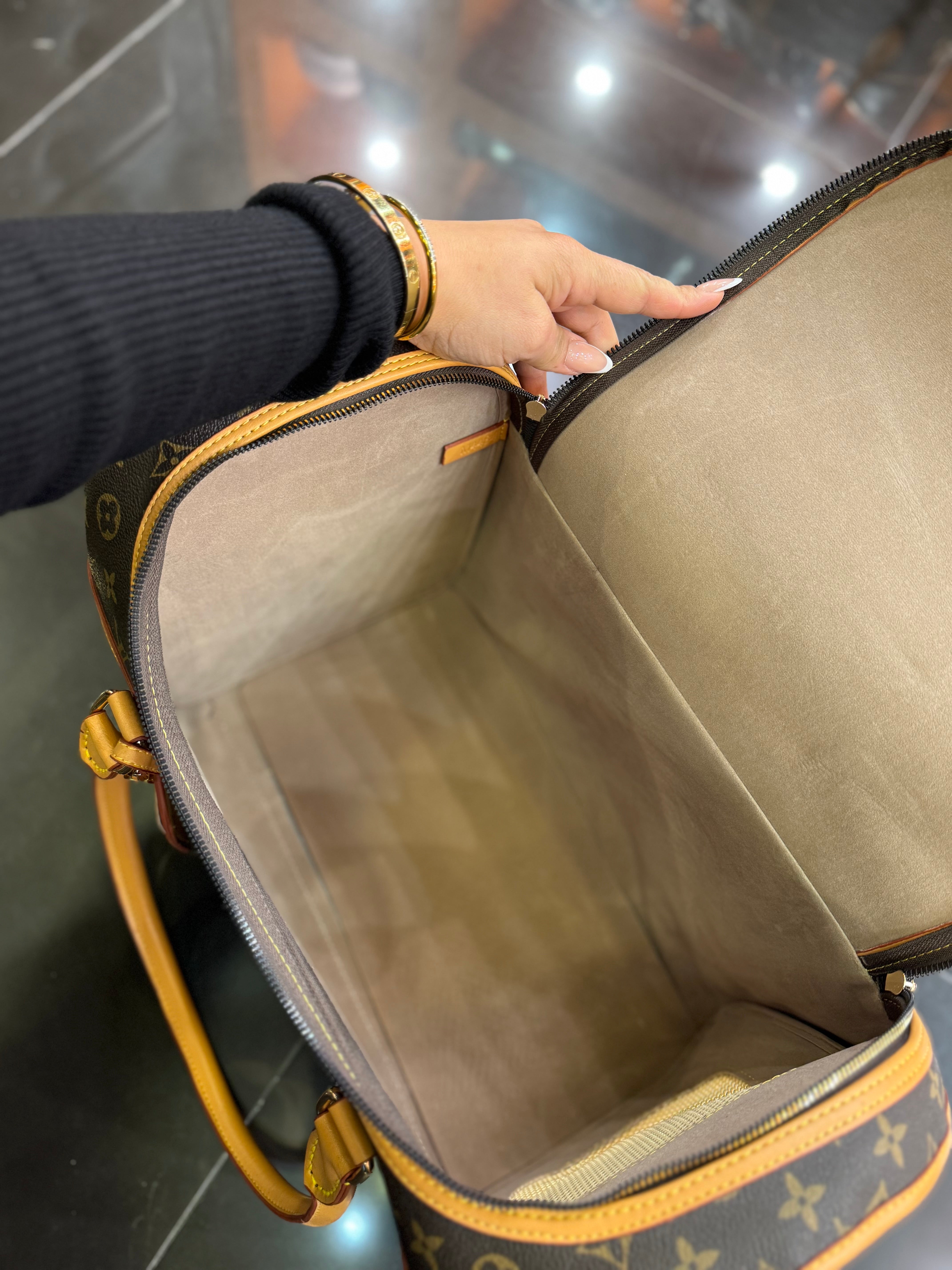 Louis Vuitton Gog bag monogram