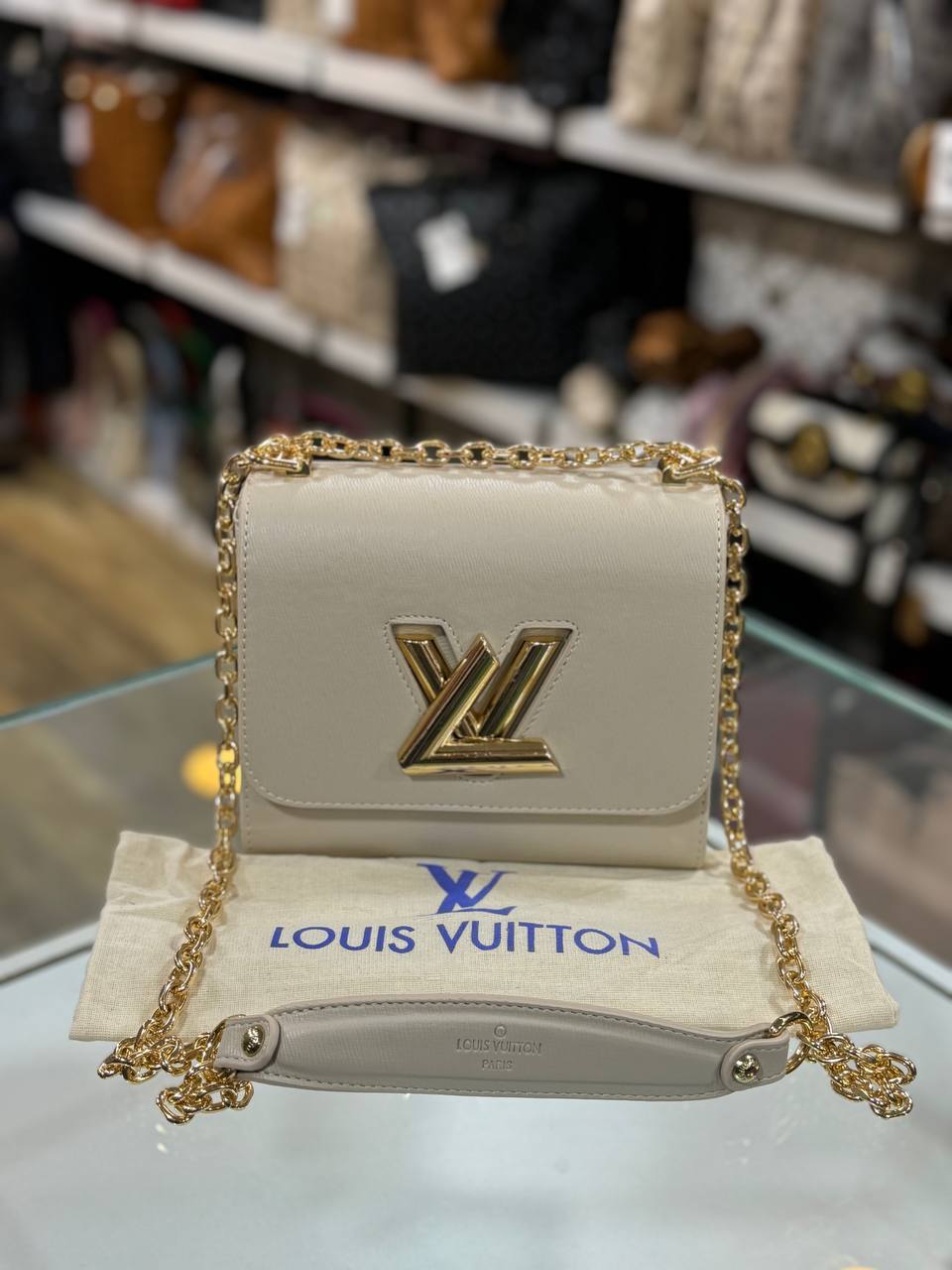 LOUIS VUITTON Twist PM Size 18 x14