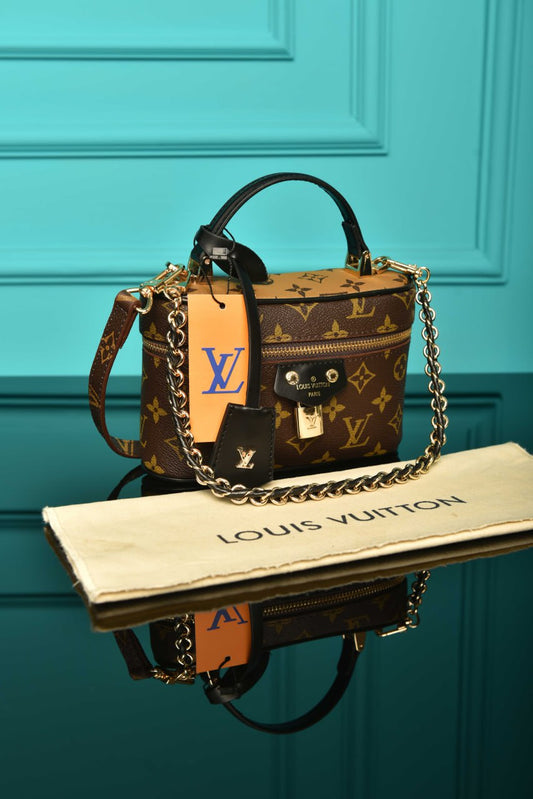 LOUIS VUITTON - Vanity Chain Pouch  19 × 11.5 × 6.5 cm