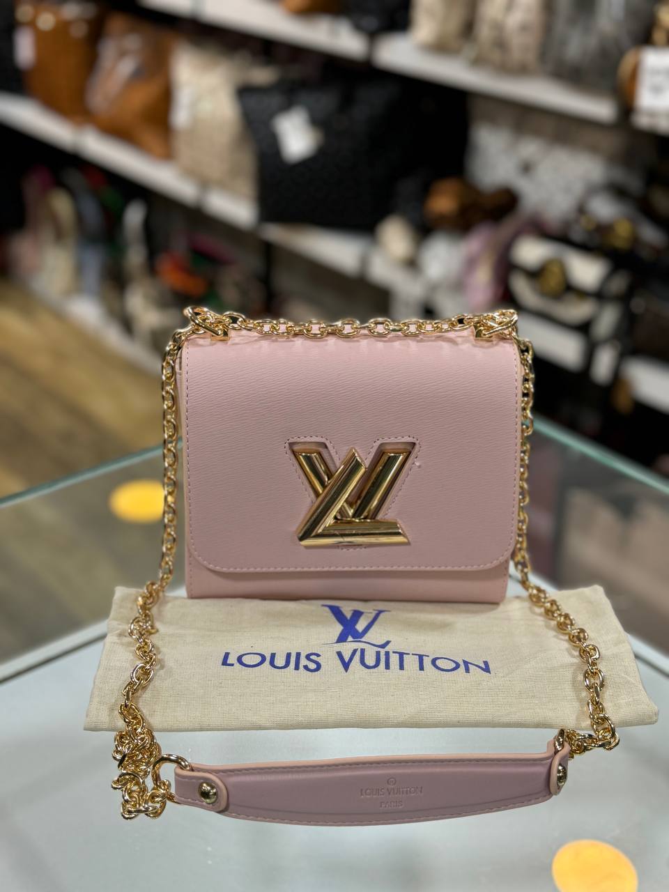 LOUIS VUITTON Twist PM Size 18 x14