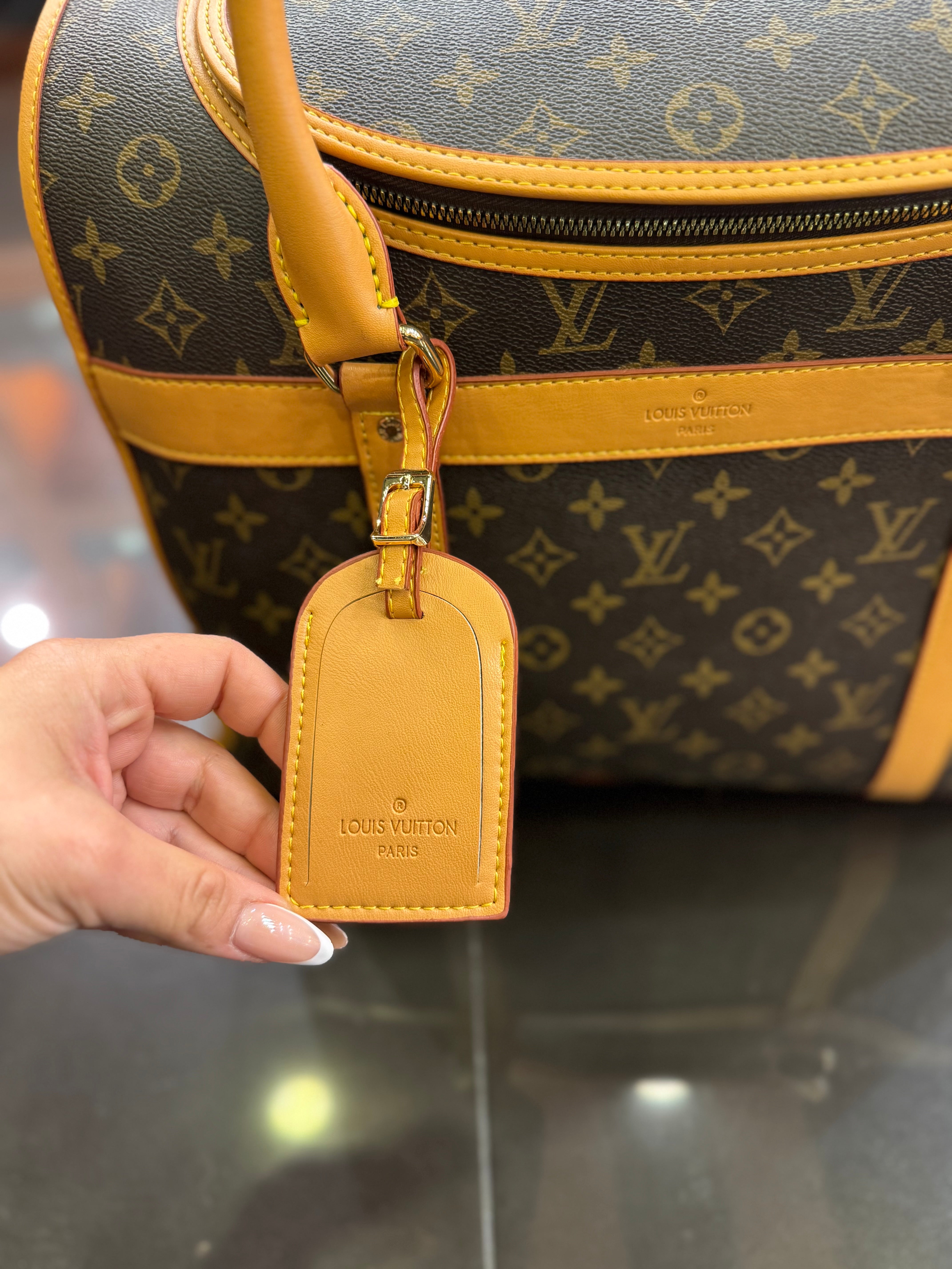 Louis Vuitton Gog bag monogram
