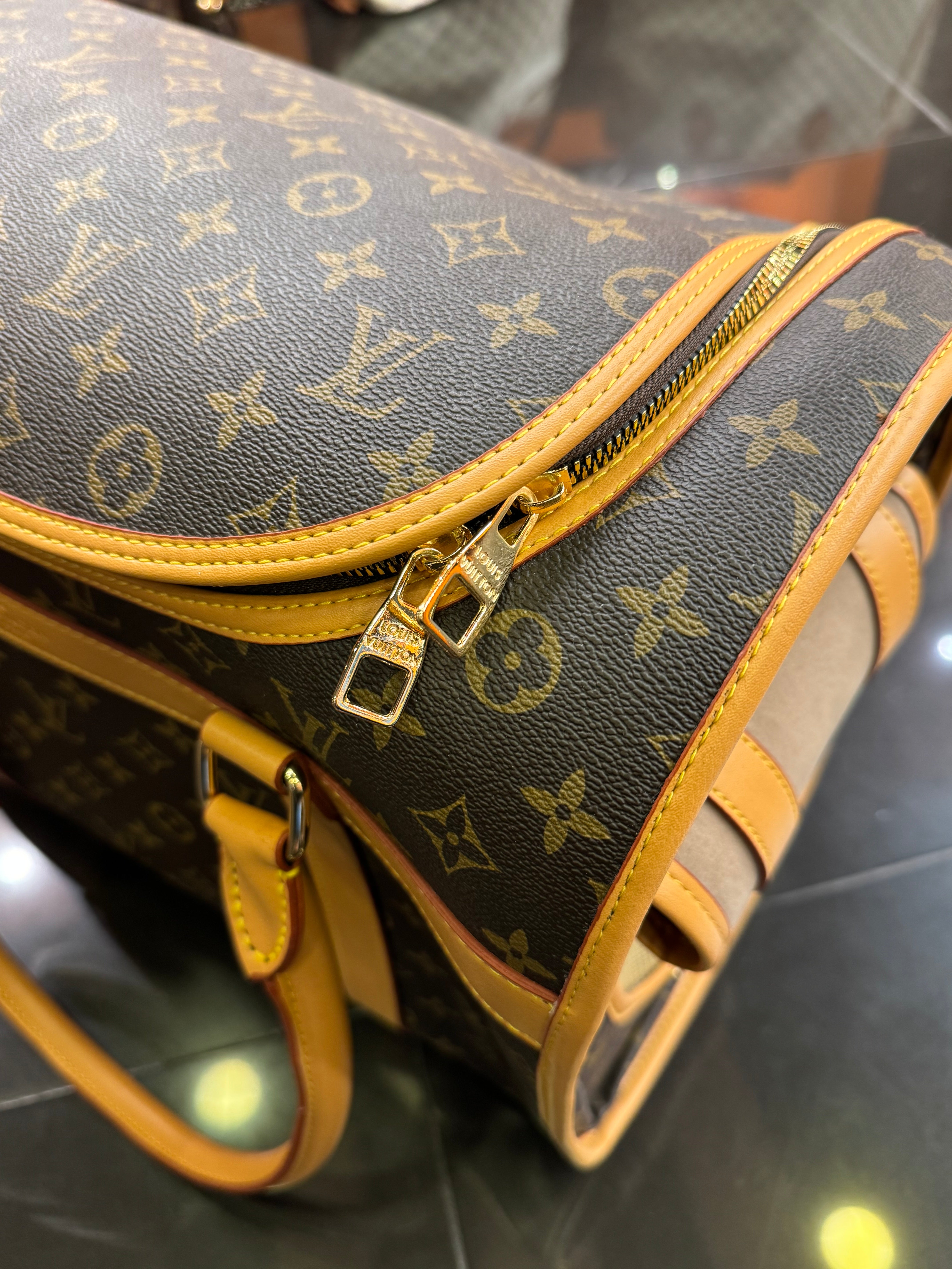 Louis Vuitton Gog bag monogram
