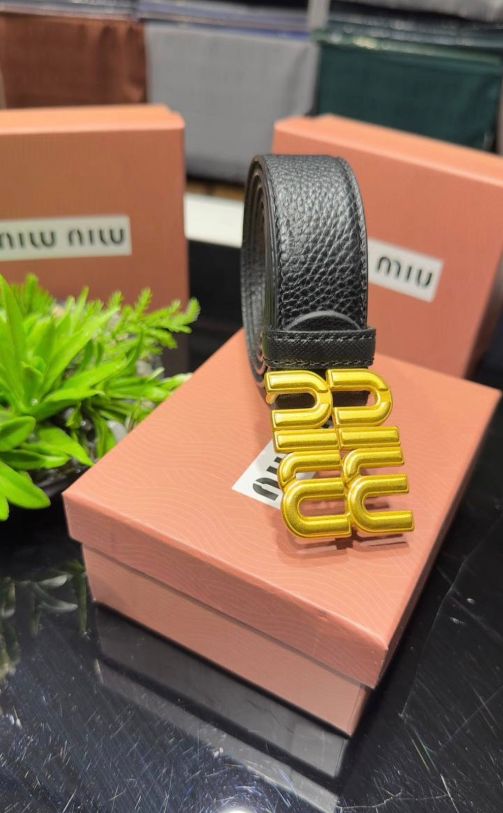 Ζώνη Miu Miu Black