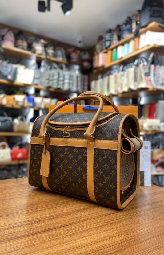 Louis Vuitton Gog bag monogram