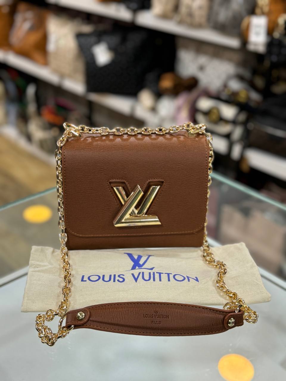 LOUIS VUITTON Twist PM Size 18 x14