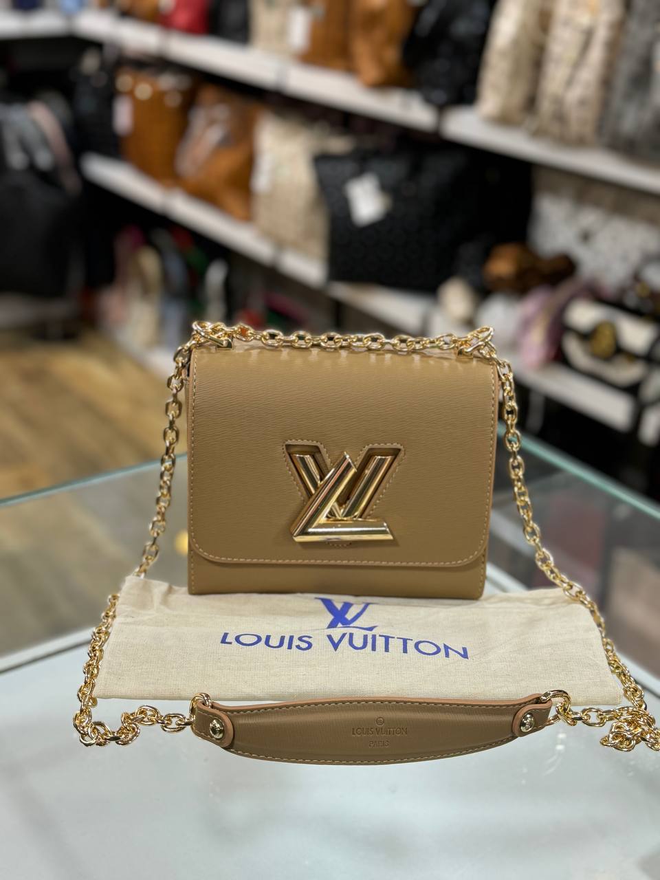 LOUIS VUITTON Twist PM Size 18 x14